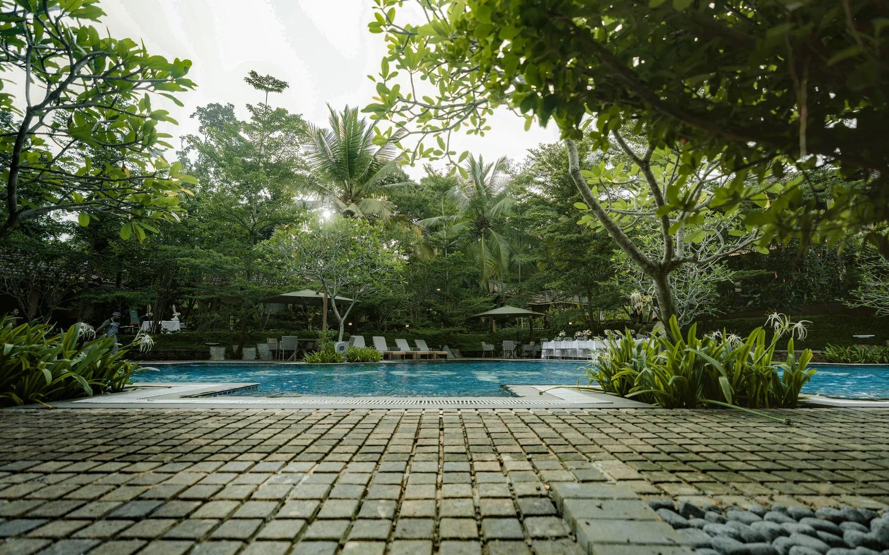 Mandara Gallery 3